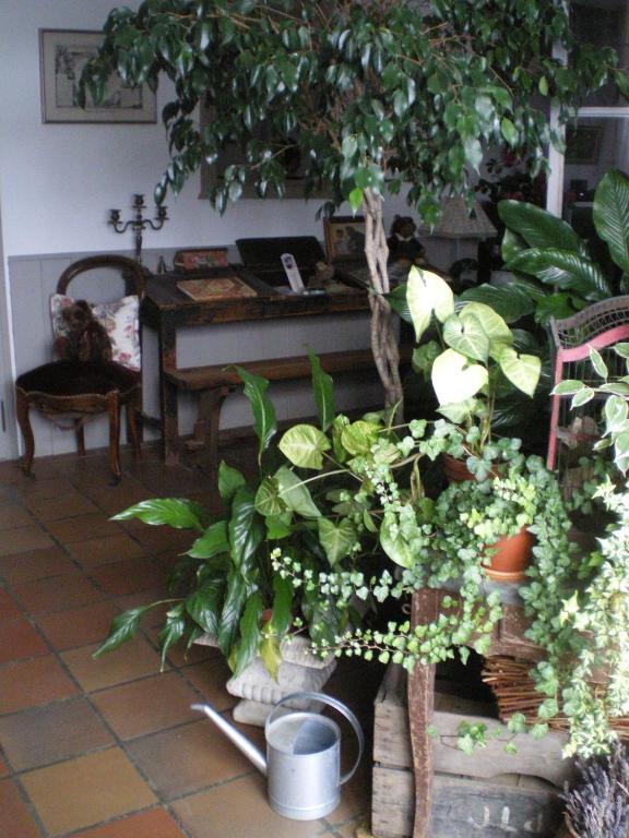 Au Bon Gre D'Hugoline Bed and Breakfast Blanzac  Εξωτερικό φωτογραφία