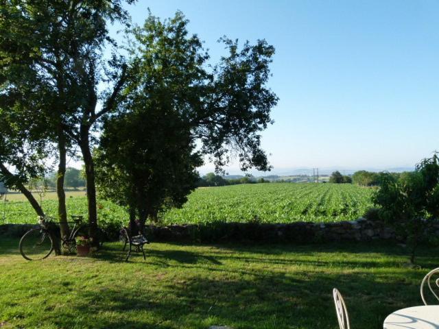 Au Bon Gre D'Hugoline Bed and Breakfast Blanzac  Εξωτερικό φωτογραφία